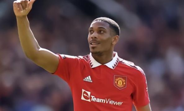 手和环境 手和环境