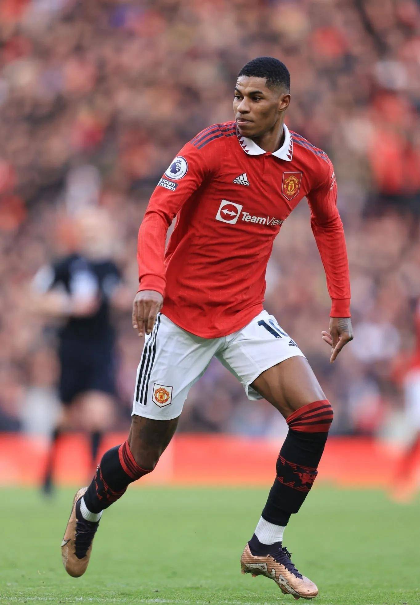 北冰南展 北冰南展